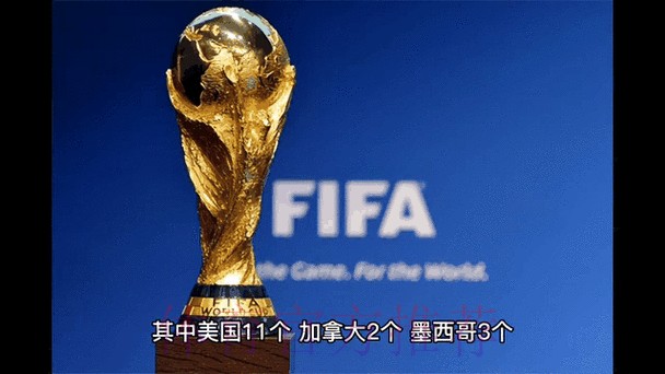 2026世界杯最新竞猜动态解析